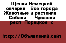 Щенки Немецкой овчарки - Все города Животные и растения » Собаки   . Чувашия респ.,Порецкое. с.